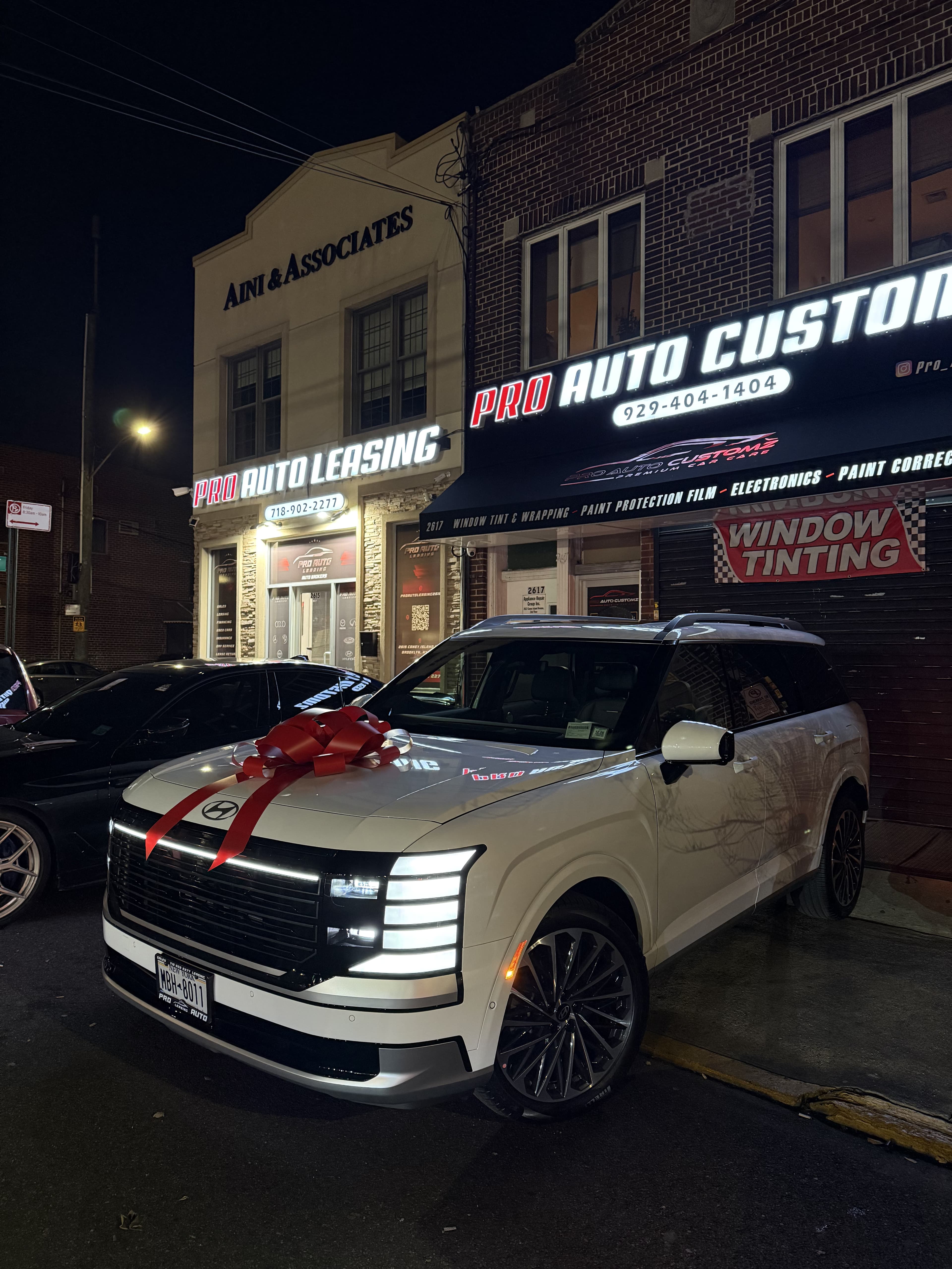 Hyundai Palisade Calligraphy - View 1